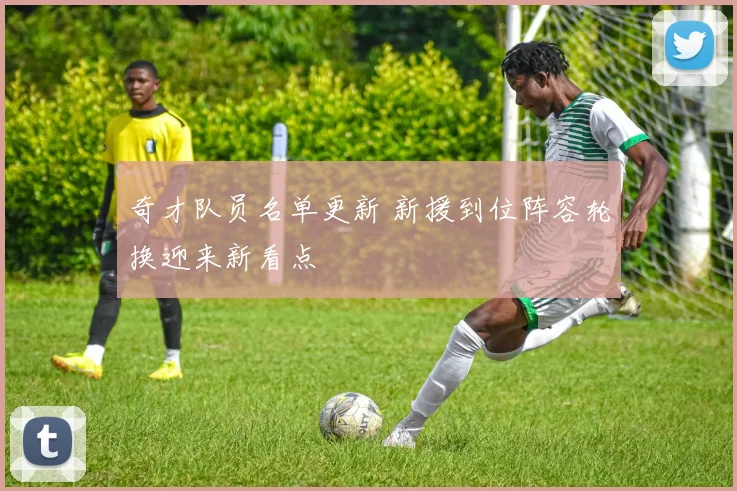 奇才队员名单更新 新援到位阵容轮换迎来新看点