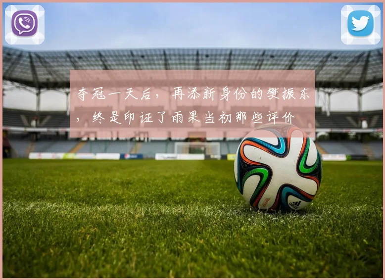 夺冠一天后，再添新身份的樊振东，终是印证了雨果当初那些评价