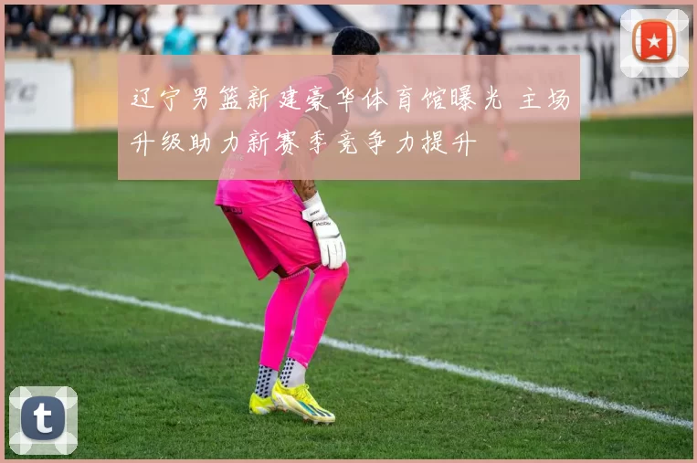 辽宁男篮新建豪华体育馆曝光 主场升级助力新赛季竞争力提升