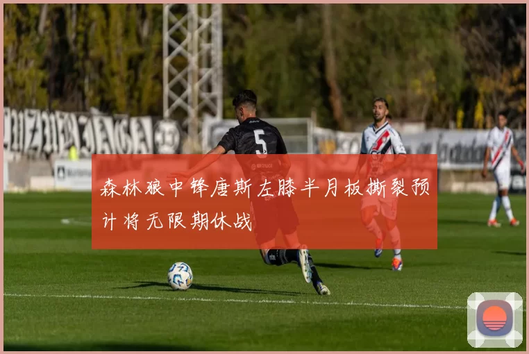 森林狼中锋唐斯左膝半月板撕裂预计将无限期休战