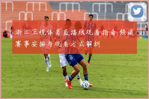 浙江卫视体育直播线观看指南 频道赛事安排与观看方式解析